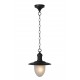 Lucide outdoor suspension lamp Aruba 11872/01/30