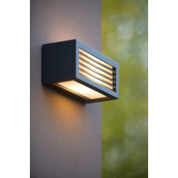 Lucide outdoor wall light Dimo 27853/01/30