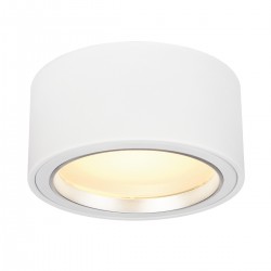 SLV ceiling LED light LED SURFACE-MOUNTED SPOT 161461