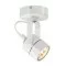 SLV wall and ceiling light SPOT 79 132021